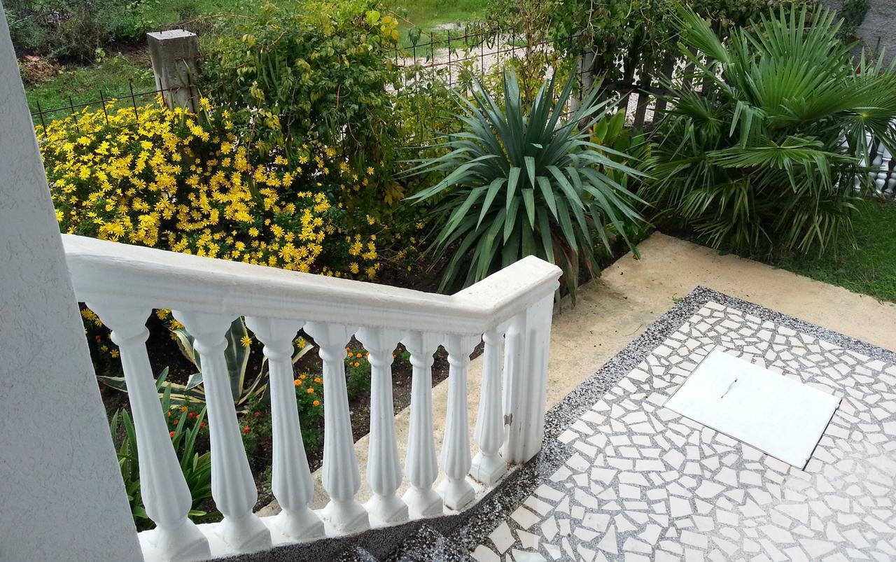 Apartmani Scepanovic سوتوموري المظهر الخارجي الصورة